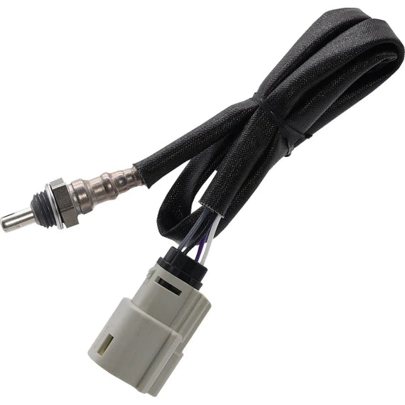 Sensor de oxígeno