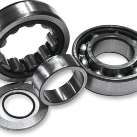 Cam Outer Bearing