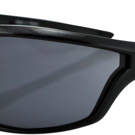 Florida Sunglasses - Shiny Black - Smoke