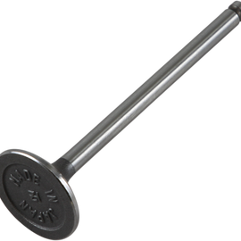 Exhaust Valve