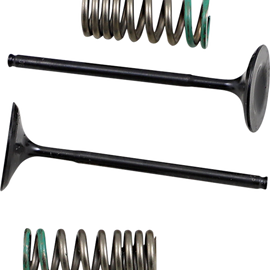 Intake Valve and Spring Kit