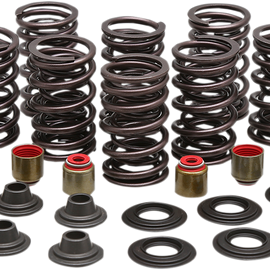 Valve Spring Kit