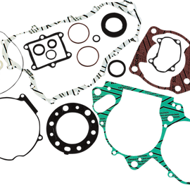 Motor Gasket Kit with Seal - CR250