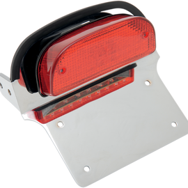 Taillight/License Plate Assembly - Harley Davidson