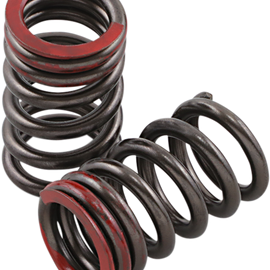 Exhaust Valve Springs