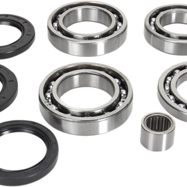 Differential Bearing/Seal Kit - Arctic Cat - Rear