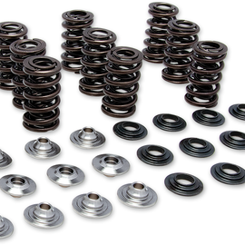 Valve Spring Kit