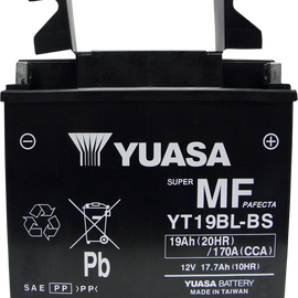 AGM Battery - YT19BL-BS