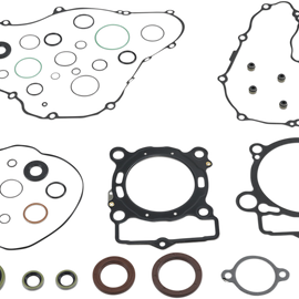 Complete Motor Gasket Kit with Seals - FE 250
