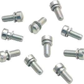 Acceleration Pump Cap Screw - 10-Pack