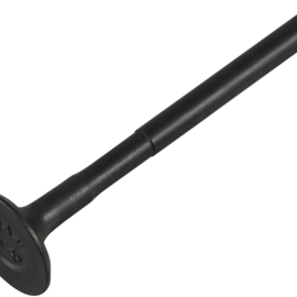 Intake Valve