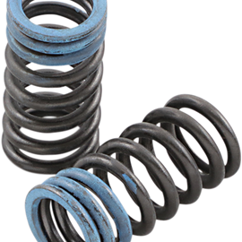 Intake Valve Springs