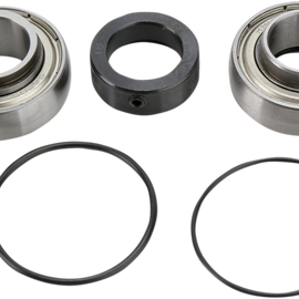 Chain Case Bearing and Seal Kit