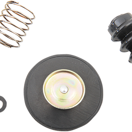 Diaphragm Rebuild Kit