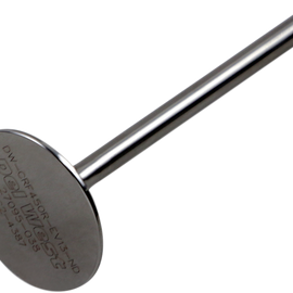 Exhaust Valve