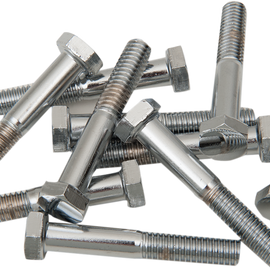 5/16"-18X2" Chrome Hex Head