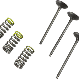 Valve and Spring Kit