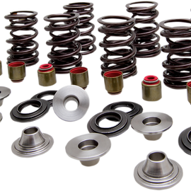 Valve Spring Kit