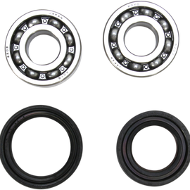 Crank Bearing and Seal Kit