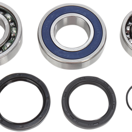 Chain Case Bearing and Seal Kit