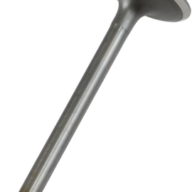 Intake Valve