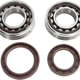 Crank Bearings