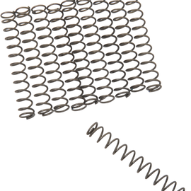 Oil Pump Relief Spring