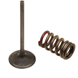 Valve and Spring Kit