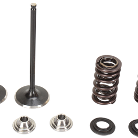 Intake Valve Kit