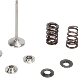 Intake Valve Kit