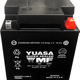 AGM Battery - YIX30L-PW