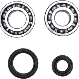 Crank Bearing and Seal Kit