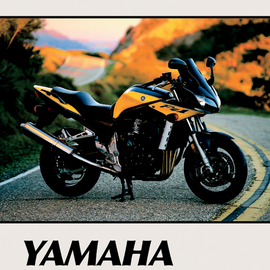 Manual - Yamaha FZ1