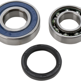 Chain Case Bearing and Seal Kit