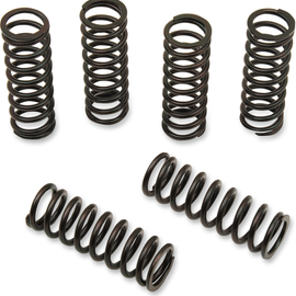 Clutch Spring Kit