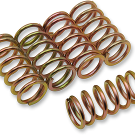 Clutch Spring Kit