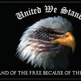 United We Stand Flag - 6" x 9"