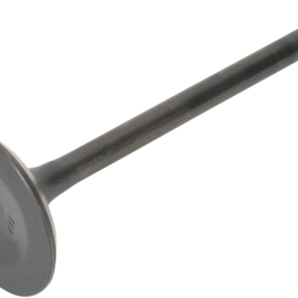 Exhaust Valve