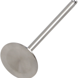 Intake Valve