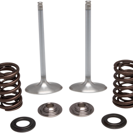 Intake Valve Kit