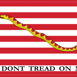 Navy Jack Flag - 6" x 9"