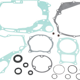 Motor Gasket Kit with Seal - TRX250EX
