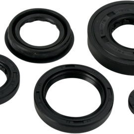 Motor Seals - Polaris