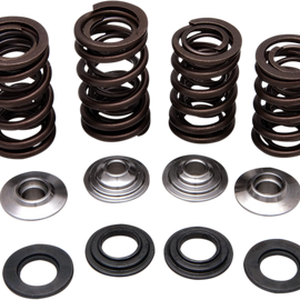 Valve Spring Kit