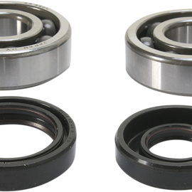 Crank Bearing and Seal Kit