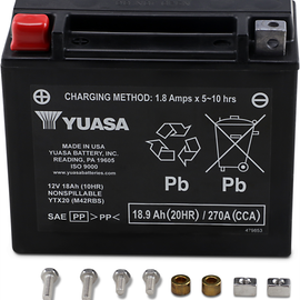 AGM Battery - YTX20