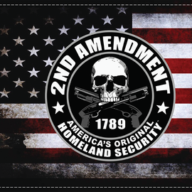 2nd Amendment Homeland Security Flag - 6" x 9"