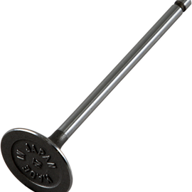 Intake Valve