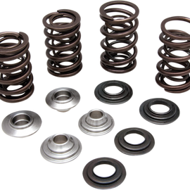 Valve Spring Kit