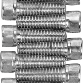 Tornillos allen de cubiertas de buzos cromo